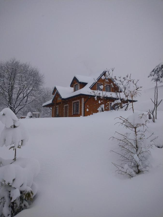 Lesny Dworek 1 Wolkowyja Exterior photo