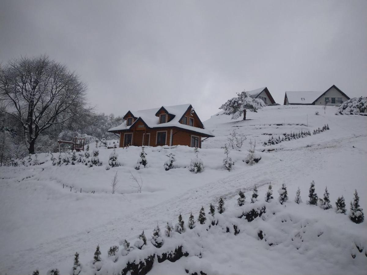 Lesny Dworek 1 Wolkowyja Exterior photo