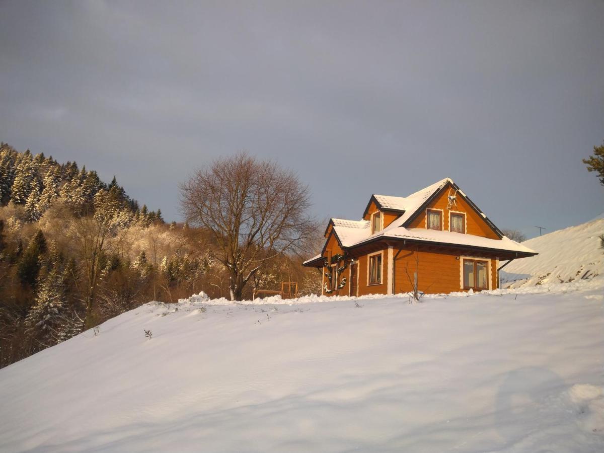 Lesny Dworek 1 Wolkowyja Exterior photo