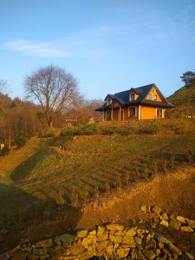 Lesny Dworek 1 Wolkowyja Exterior photo