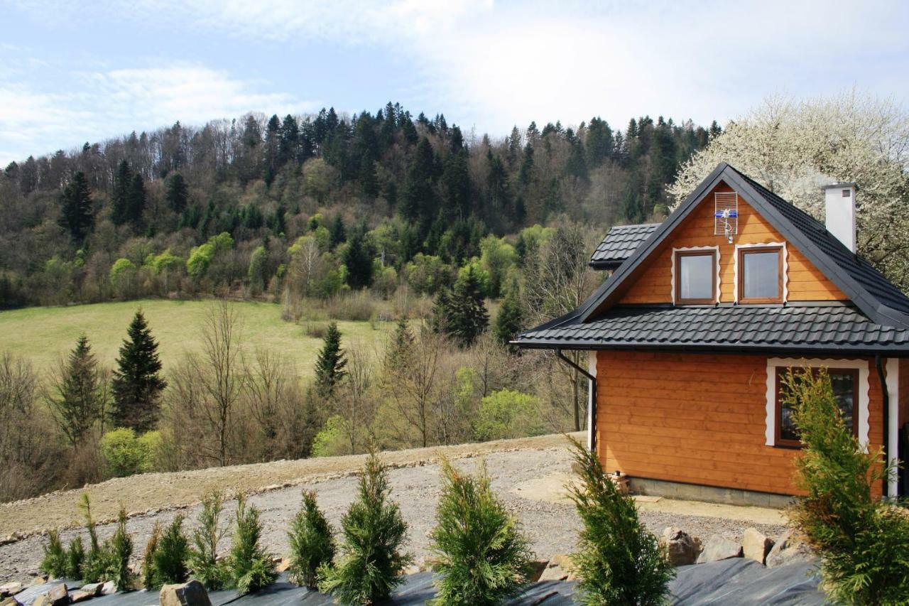 Lesny Dworek 1 Wolkowyja Exterior photo